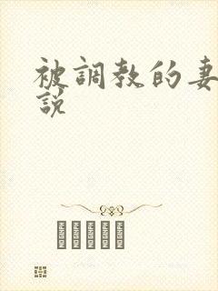 被调教的妻子小说