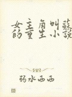 女主角叫苏倾城的重生小说