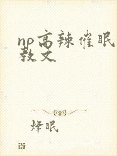 np高辣催眠调教文