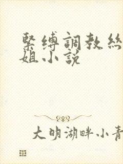 紧缚调教丝袜御姐小说