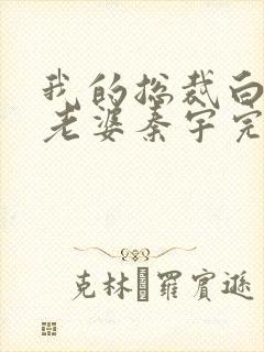 我的总裁白富美老婆秦宇完结