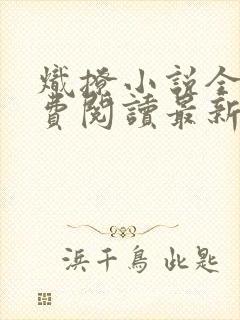 炽撩小说全文免费阅读最新章节