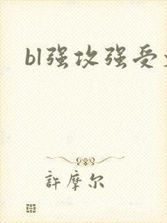 bl强攻强受文