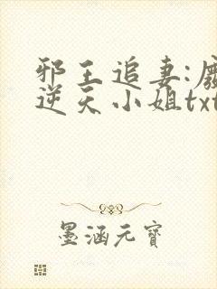 邪王追妻:废材逆天小姐txt