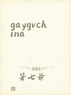 gaygvchina封面