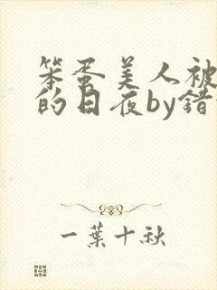 笨蛋美人被疼爱的日夜by错金银