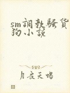 sm调教骚货母狗小说