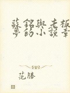 苏铭与老板娘沈梦的小说章节