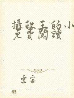 摄政王的小哑妻免费阅读封面