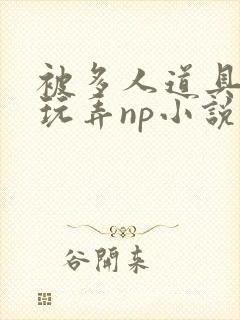 被多人道具调教玩弄np小说在线阅读封面