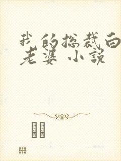 我的总裁白富美老婆 小说