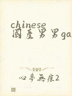 chinese国产男男gaygay网站