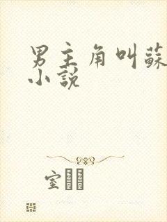 男主角叫苏文的小说