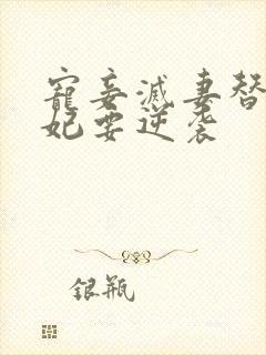 宠妾灭妻替嫁王妃要逆袭