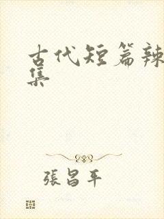 古代短篇辣文合集封面