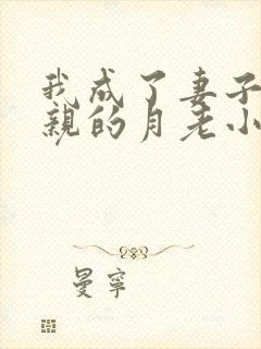 我成了妻子和父亲的月老小说