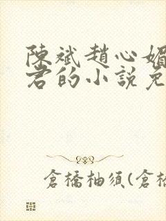 陈斌赵心媚高婉君的小说免费阅读封面