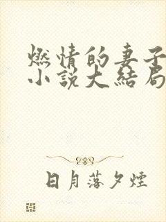 燃情的妻子方雪小说大结局封面