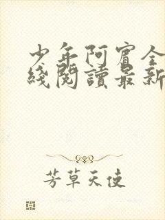 少年阿宾全文在线阅读最新章节免费