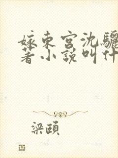 嫁东宫沈骊珠原著小说叫什么