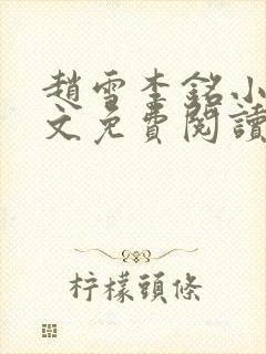 赵雪李铭小说全文免费阅读封面