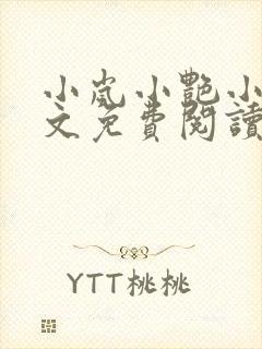 小岚小艳小说全文免费阅读最新章节