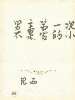 男主第一次女主不是处的小说封面