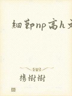 细节np高h文封面