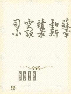 司空靖和苏月汐小说最新章节