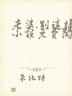 老婆,别这样 小说免费阅读