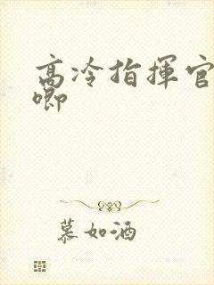 高冷指挥官哭唧唧封面