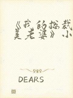 《我的总裁白富美老婆》小说