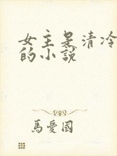 女主是清冷美人的小说封面