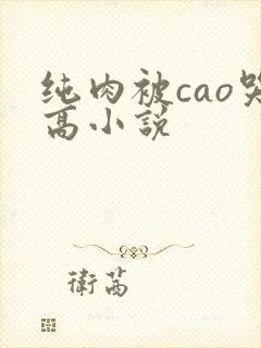 纯肉被cao哭高小说