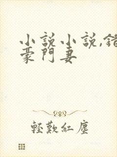 小说小说,错嫁豪门妻封面