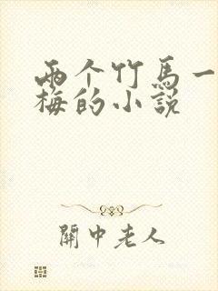 两个竹马一个青梅的小说封面