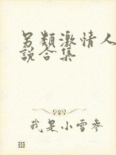 另类激情人妻小说合集