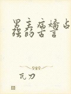 男主病娇占有欲强的古言