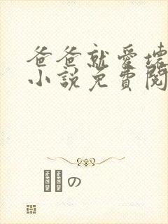 爸爸就爱坏爸爸小说免费阅读全文