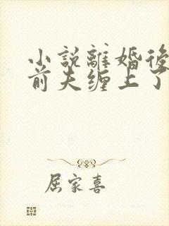 小说离婚后我被前夫缠上了阅读