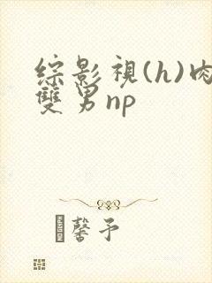 综影视(h)肉双男np