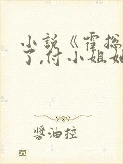 小说《霍总别虐了,付小姐她又去相亲了》