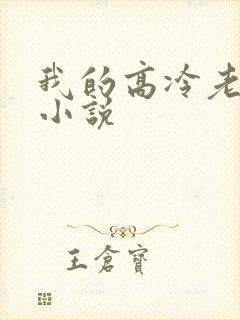 我的高冷老婆 小说
