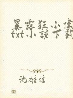 暴露狂小伟全文txt小说下载