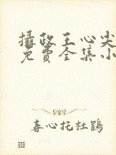 摄政王心尖宠妃免费全集小说