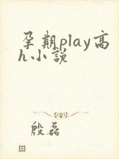 孕期play高h小说