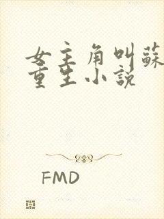 女主角叫苏婉的重生小说