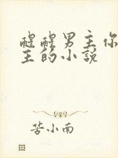 醒醒男主你是女主的小说封面