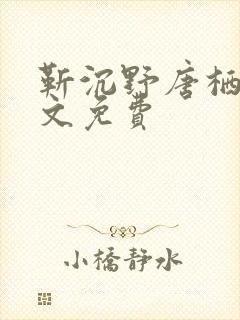 靳沉野唐栖雾全文免费封面