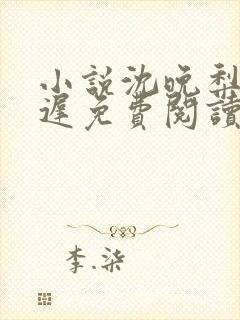 小说沈晚梨谢云迟免费阅读封面